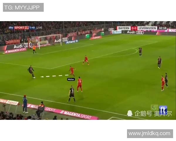 独家解析上海排球队战术特点与对手策略的深度对比分析